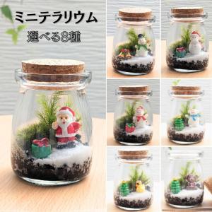 SWAROVSKI（スワロフスキー） 『SCS ペンギンの妹 PATTY』 5405834