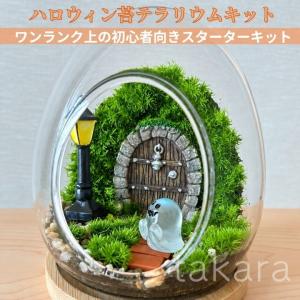 テラリウムキット 【ハロウィン】 コケテラリウム 贈り物 コケインテリア ギフト 手作りキット 苔インテリア 苔リウム コケリウム お誕生日 敬老の日