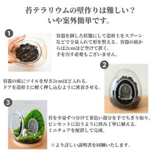 テラリウムキット 【ハロウィン】 コケテラリウ...の詳細画像2