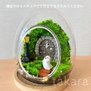 テラリウムキット 【ハロウィン】 コケテラリウ...の詳細画像4