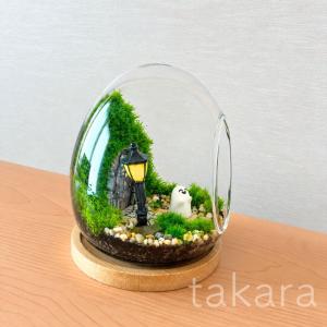 テラリウムキット 【ハロウィン】 コケテラリウ...の詳細画像5