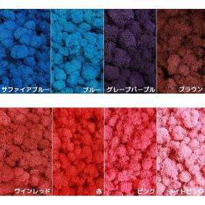 モス レインディアモス 20g プリザーブド ...の詳細画像3