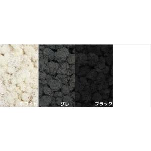 モス レインディアモス 20g プリザーブド ...の詳細画像4