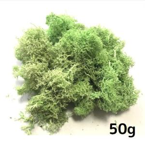 モス レインディアモス 20g プリザーブド ...の詳細画像1