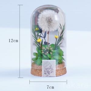 プリザーブドフラワー タンポポ ガラスボトル ...の詳細画像4