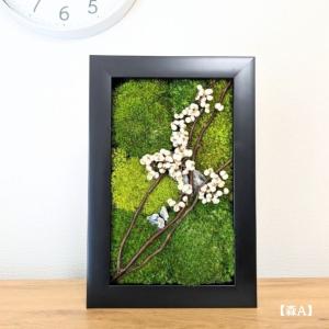 プリザーブド苔フレーム 【森】ドライ 壁掛け おしゃれ プリザーブド苔 母の日 父の日 誕生日 新築祝い ナチュラル 人気 お花 ギフト お誕生日 プレゼント