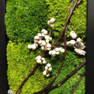 プリザーブド苔フレーム 【森】ドライ 壁掛け ...の詳細画像3