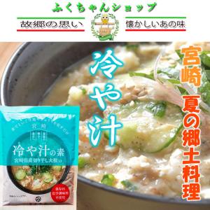 宮崎 冷や汁の素 100ｇ 2人から3人用 ×5袋　郷土料理　送料無料 宮崎を代表する郷土料理