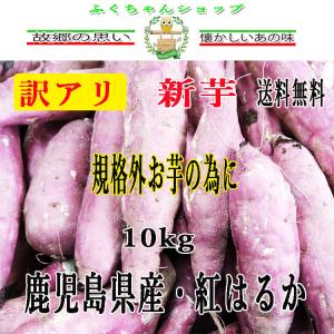 訳アリ　鹿児島県産　紅はるか　10kg　送料無料