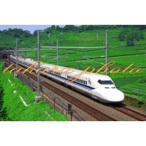 鉄道写真ｅ３５１系特急スーパーあずさｌ版サイズ商品コード２ ００２０ーｌ 正規品販売