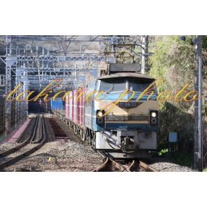 鉄道写真ＪＲ貨物ＥＦ６６形電気機関車貨物列車ＫＧサイズ商品コード５−０００８ーＫＧ｜takaracom