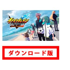144.イナズマイレブン 英雄たちのヴィクトリーロード オンラインコード版