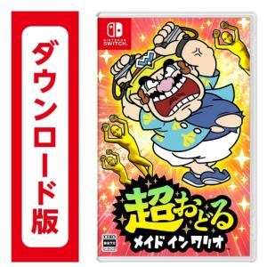 Nintendo Switch 15.ポケットモンスター ソード・シールド