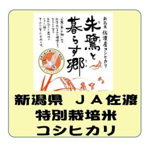 新潟県産 ＪＡ佐渡 特別栽培米 コシヒカリ　令和5年産　白米　10kg　送料無料（本州のみ）　