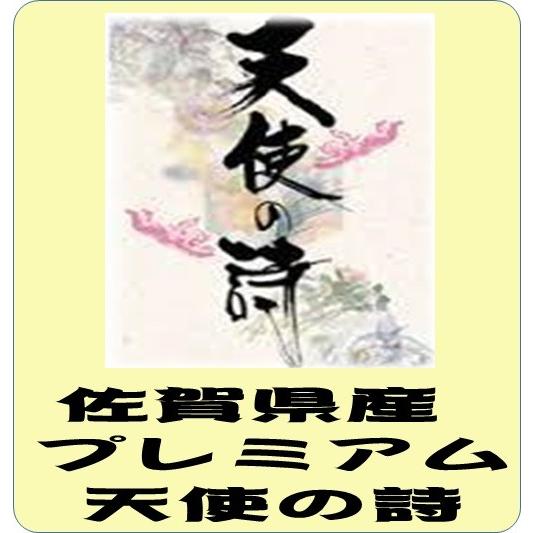 佐賀県産 プレミアム 天使の詩　令和5年産　白米10kg　　　送料無料（本州のみ）　　　