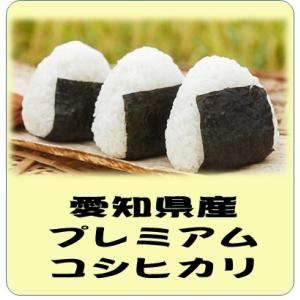 愛知県産　コシヒカリ 令和5年産　白米10kg　送料無料（本州のみ）