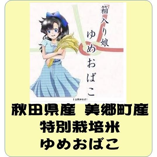 秋田県産　特別栽培米　箱入り娘ゆめおばこ　令和5年産　白米5kg　送料無料（本州のみ）　