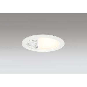 ODELIC（オーデリック） ダウンライト 【OD361466R】【OD 361 466R