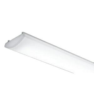 LEDユニット メンテナンス用 40W 5200lm 非調光 5000K 1246mm 本体別売 RAD766NA 遠藤照明 RAD-766NA LEDベースライト用 LEDZ SDシリーズ メンテナンス