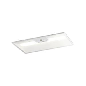 オーデリック XR507010R1D LEDベースライト 非常用照明器具(階段通路誘導灯兼用型) 埋...