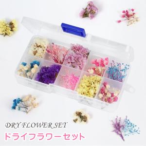 小花アソートセット　角形ケース入り　レジン封入　ハーバリウム用