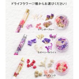 ハーバリウムペン キット Ver2 高品質 ド...の詳細画像2
