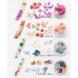 ハーバリウムペン キット Ver2 高品質 ド...の詳細画像3