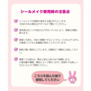 シールメイク 15g 刷毛付きボトル 塗るだけ...の詳細画像5