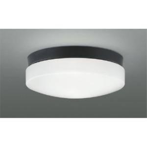 ODELIC（オーデリック） OW269026LR LED防雨・防湿型シーリングライト