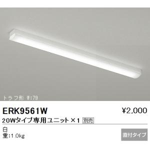遠藤照明  施設照明 LEDベースライト SDシリーズ 本体のみ 20Wタイプ 直付 トラフ形 W：...