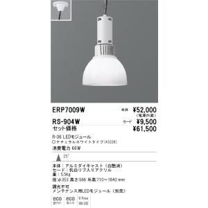 遠藤照明 ERP7430KB LEDペンダントライト 電源内蔵 LEDモジュール付