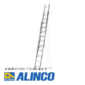 ピカコーポレイション ピカ/Pica 2連はしご プロ 2PRO-100B 最大使用