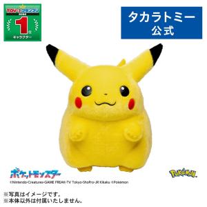 ポケットモンスター ポケモン30周年記念 おかえり！ピカチュウ1/1