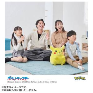 ポケットモンスター ポケモン30周年記念 おか...の詳細画像2