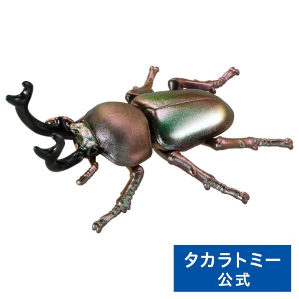 アニア AS-42 ニジイロクワガタ