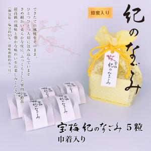 宝梅 紀のなごみ 巾着入り 5粒 梅干し 南高梅 うめぼし はちみつ 酒直 紀州南高梅 SH-12