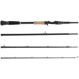 Abu Garcia AbuGarcia ワールドモンスター ベイトキャスティング