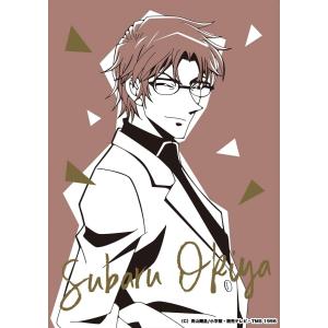 謎解き 名探偵コナン 謎ファイル 沖矢昴ver「沖矢昴と謎のレシピブック」(制作：武者) [送料ウエイト：1]