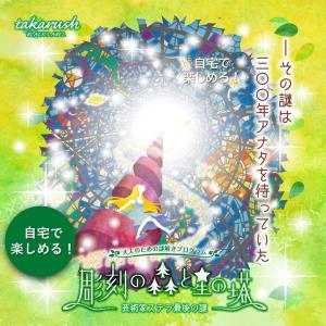 -謎解き-彫刻の森と星の塔 ―芸術家ステラ最後の謎― 【現地イベントがお家でできる！ バーチャル謎解きプログラム】 [送料ウエイト：1.5]