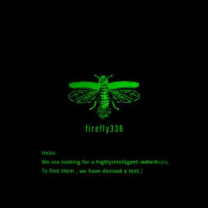 謎解き firefly336【WEBギミックがすごい】 [送料ウエイト：1]