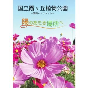 謎解き 陽のあたる場所へ (制作：きまぐれボックス) [送料ウエイト：1.5]