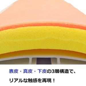 [3層皮膚パッド入、耐久性抜群]縫合練習キット...の詳細画像1