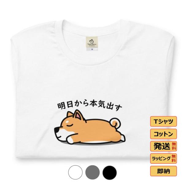 tシャツ レディース カットソー メンズtシャツ ロゴtシャツ 汗ジミ防止 おもしろtシャツ かわい...