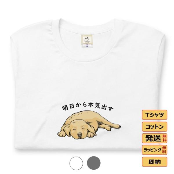 tシャツ レディース カットソー メンズtシャツ ロゴtシャツ 汗ジミ防止 おもしろtシャツ かわい...