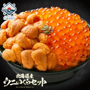 2023 うに いくら セット ウニ 塩水 北海道 バフンウニ