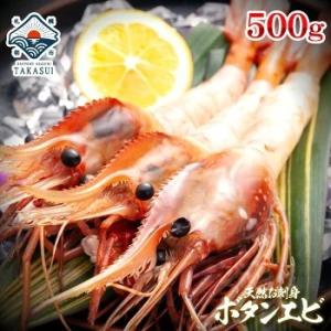 なまらデカイ 特大ボタン海老2Lサイズ500g(6-9尾)脅威のBIGサイズ ぼたんえび/牡丹海老 お年賀 御年賀 プレゼント ギフト 内祝 出産内祝い｜takasui