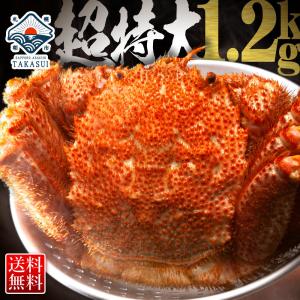 カニ かに 蟹 毛ガニ 毛蟹 毛がに 1.2kg ボイル 姿 訳あり