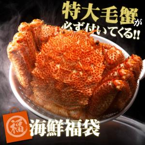毛ガニが必ず入った福袋 送料無料 海鮮セット 毛蟹 毛がに 福袋 在庫処分 グルメセット 食品 在庫 海産物 北海道 在庫SOS
