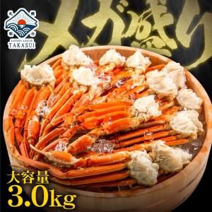 カニ かに 蟹 ズワイガニ 脚 3kg 訳あり ずわいがに 送料無料 ボイル 食べ放題 ずわい蟹 カニしゃぶ