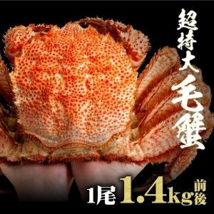 超超特大！ 衝撃の1尾で1.4kg 毛蟹 毛ガニ 毛がに 超特大ジャンボ毛蟹